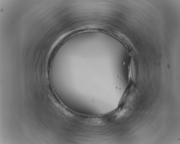 X0000075830784200610061821