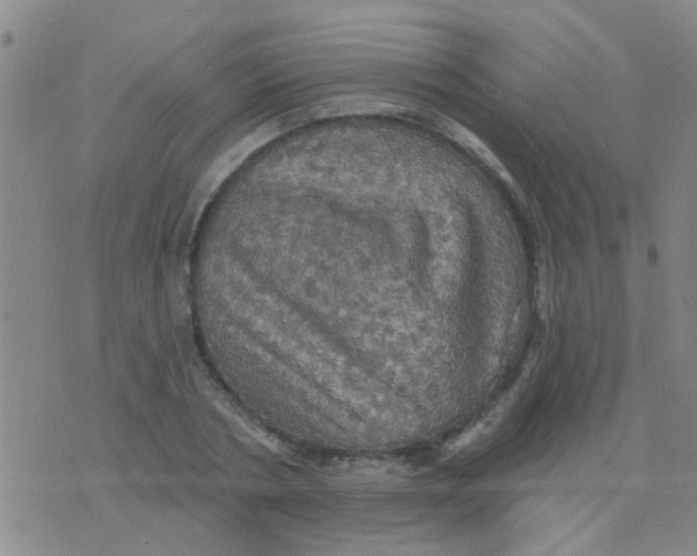 X0000075830786200610061821