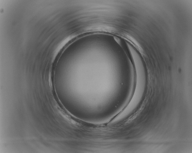 X0000075830788200610061821