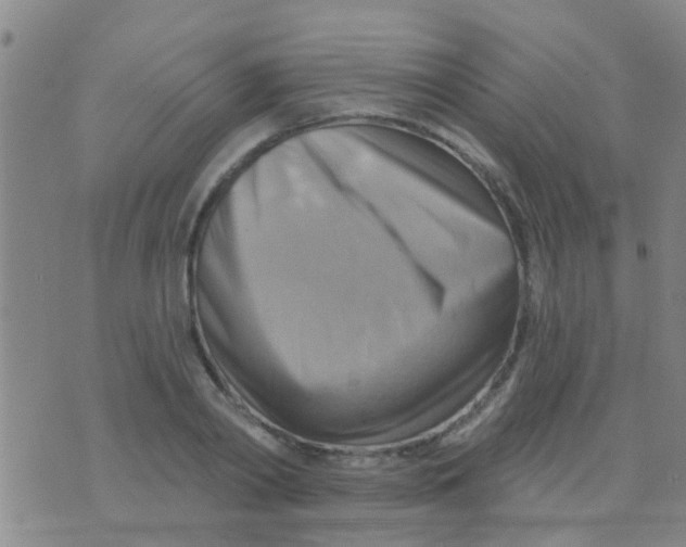 X0000075830790200610061821