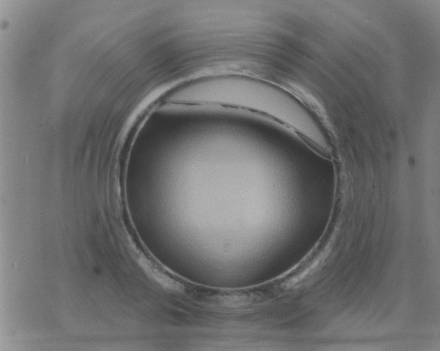 X0000075830792200610061821