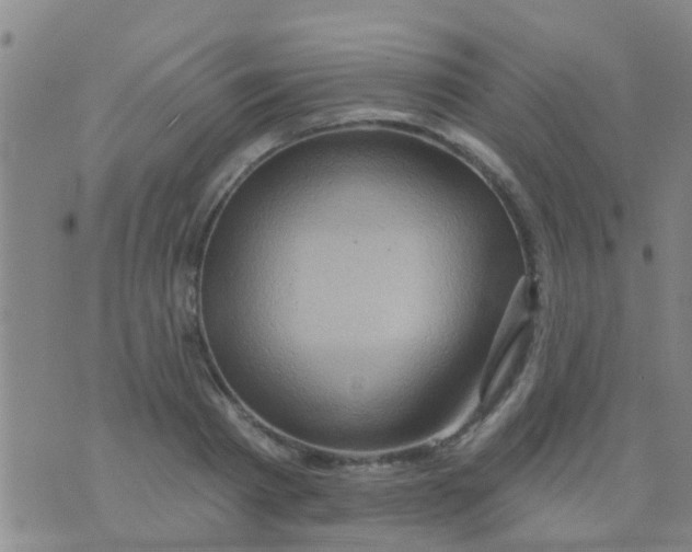 X0000075830793200610061821