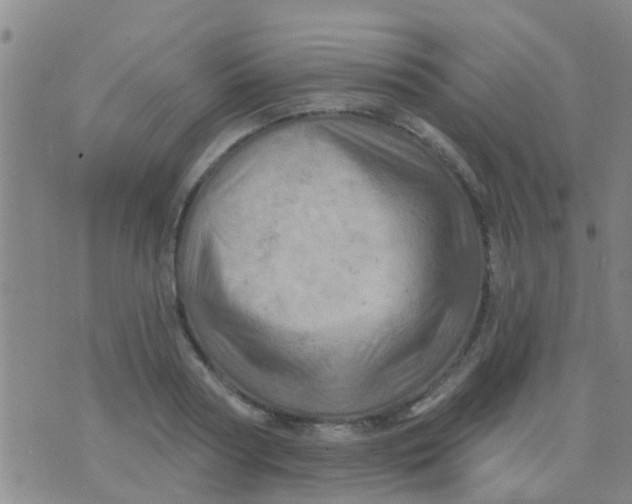 X0000075830794200610061821