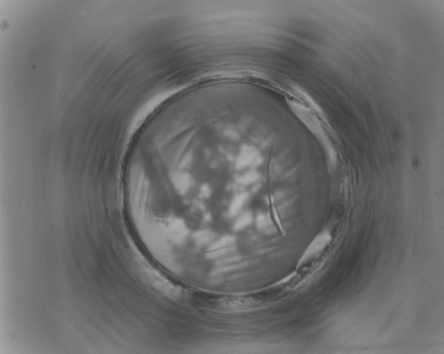 X0000075830795200610061821