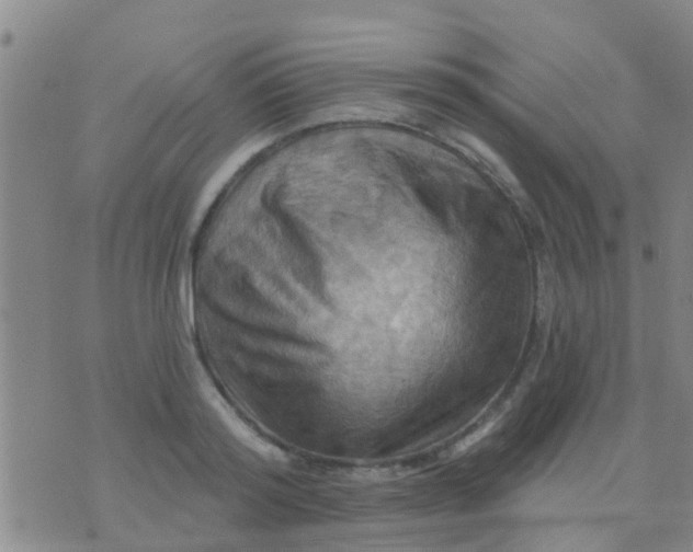 X0000075830796200610061821