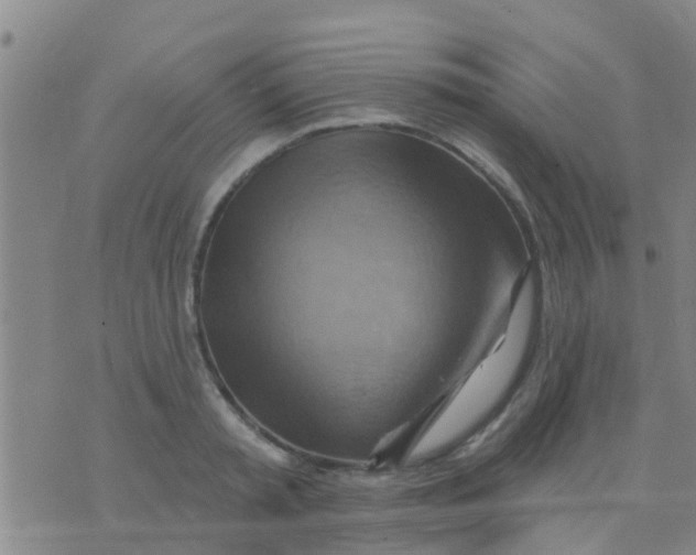 X0000075830797200610061821