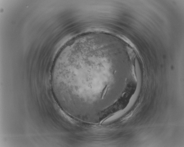 X0000075830799200610061821