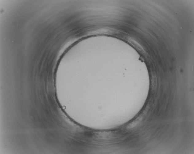 X0000075830800200610061820