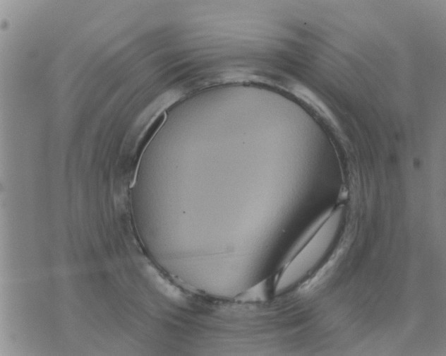 X0000075830801200610061820