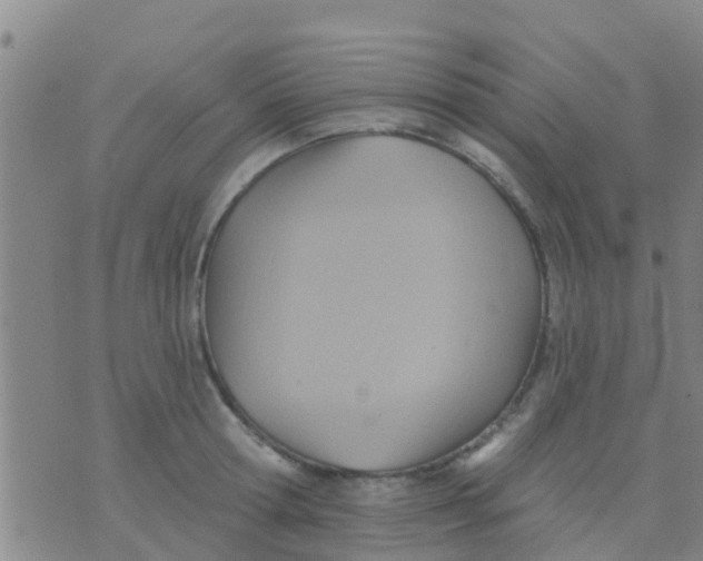 X0000075830802200610061820