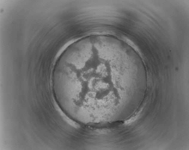 X0000075830803200610061820