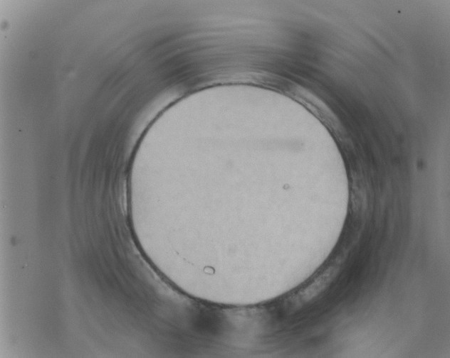 X0000075830804200610061820