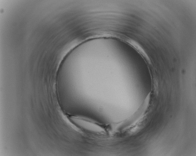 X0000075830805200610061820