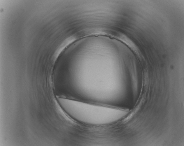 X0000075830806200610061820