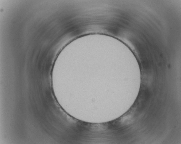 X0000075830807200610061820