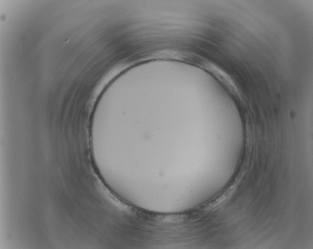 X0000075830808200610061820