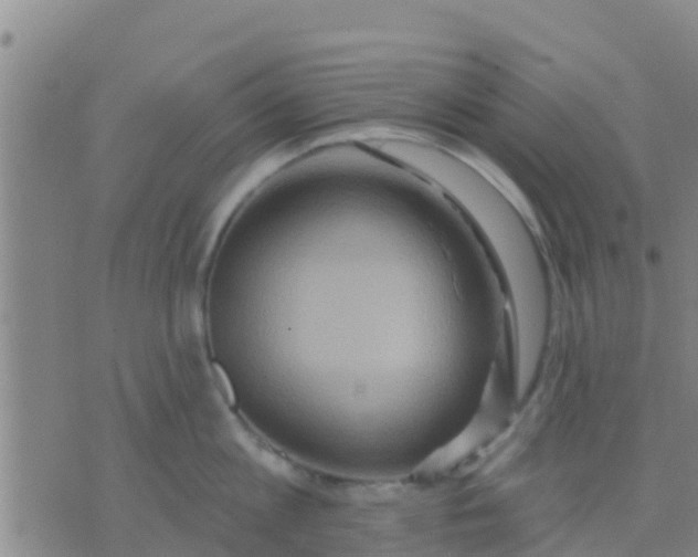 X0000075830813200610061820