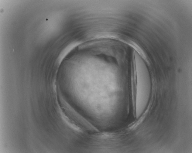 X0000075830814200610061820