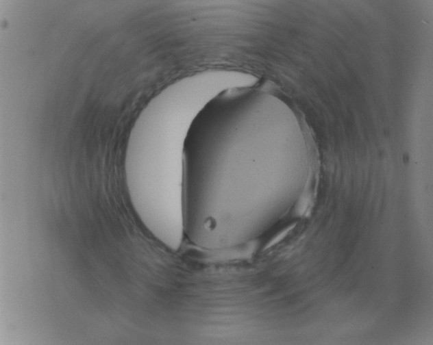 X0000075830818200610061819