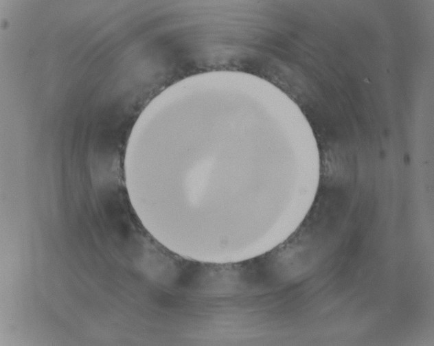 X0000075830820200610061819