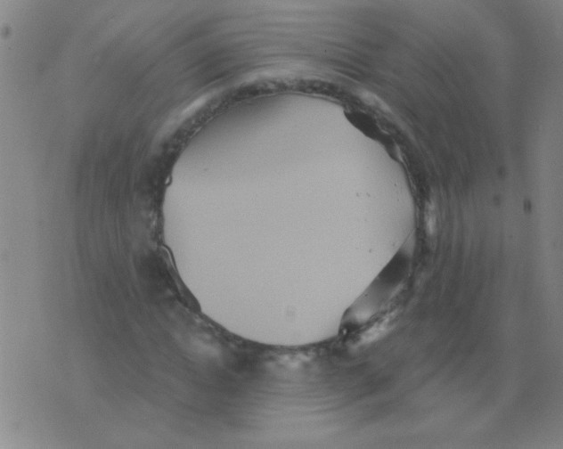 X0000075830822200610061820