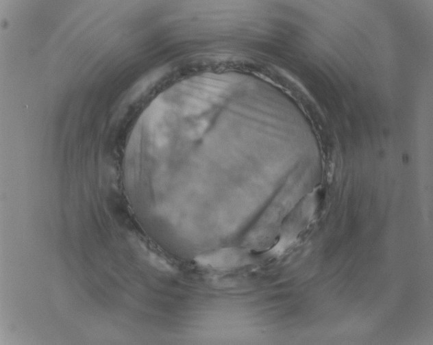 X0000075830823200610061820