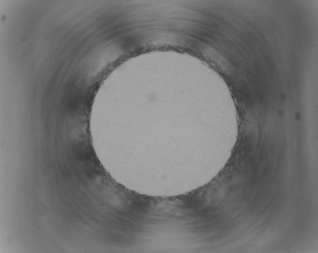 X0000075830824200610061820