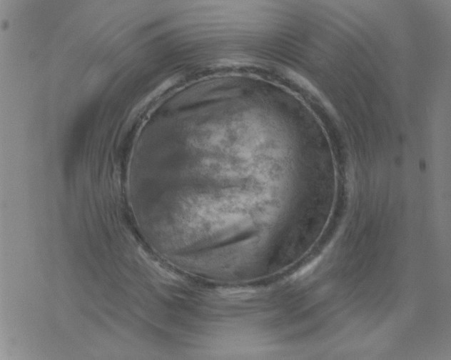 X0000075830825200610061820