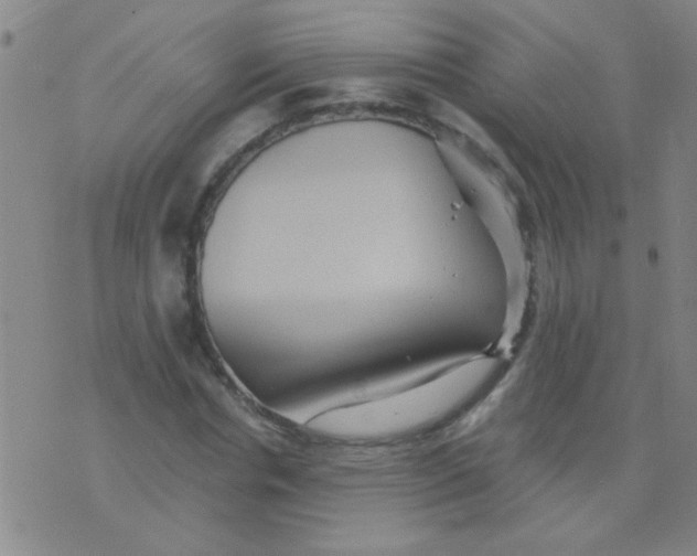 X0000075830826200610061820