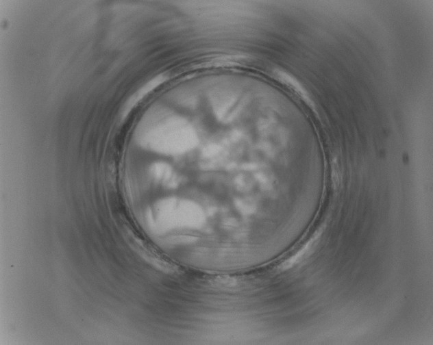 X0000075830827200610061820