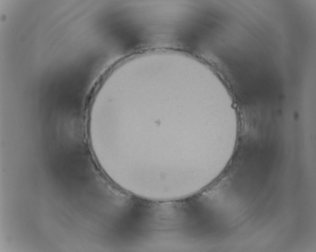 X0000075830828200610061820