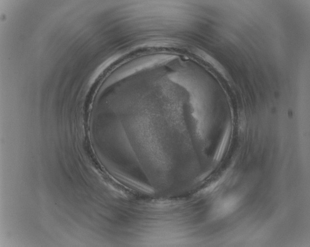 X0000075830829200610061820