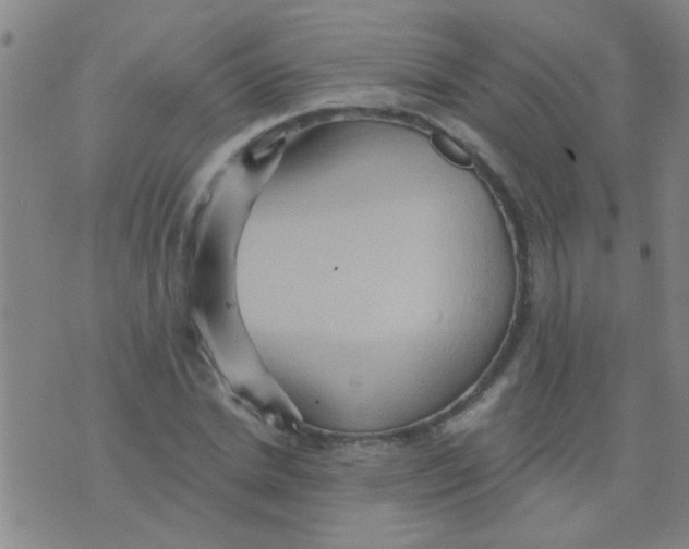 X0000075830830200610061820