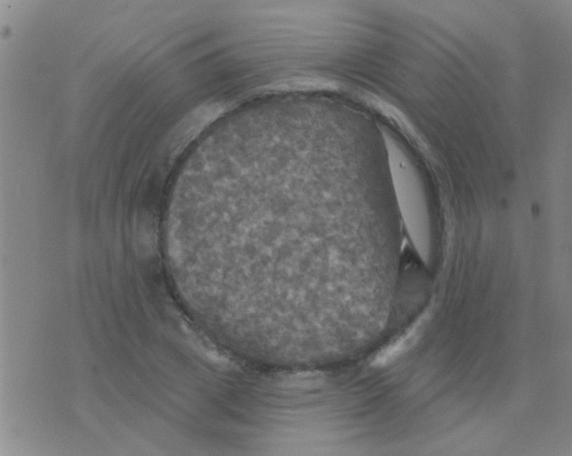 X0000075830833200610061820