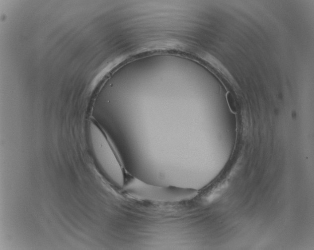 X0000075830834200610061820