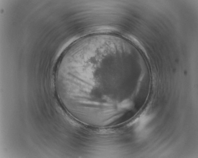 X0000075830835200610061820