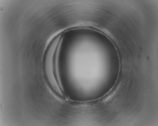 X0000075830838200610061820