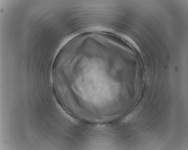 X0000075830839200610061820