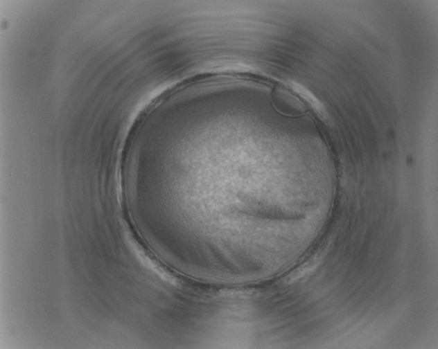 X0000075830840200610061820