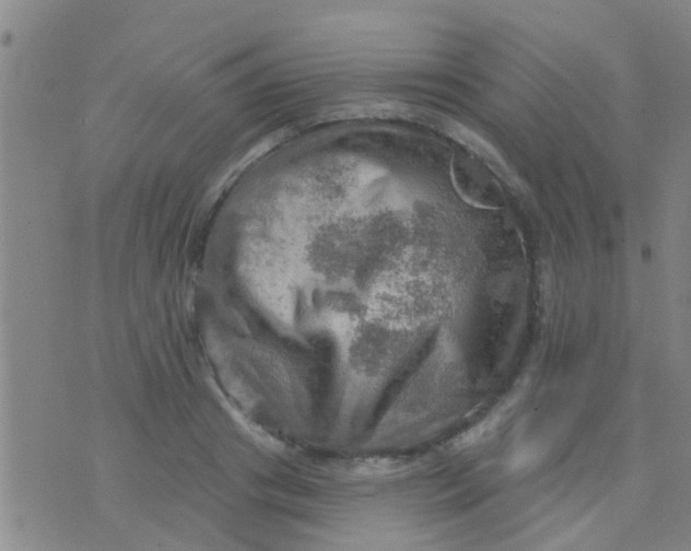 X0000075830841200610061820