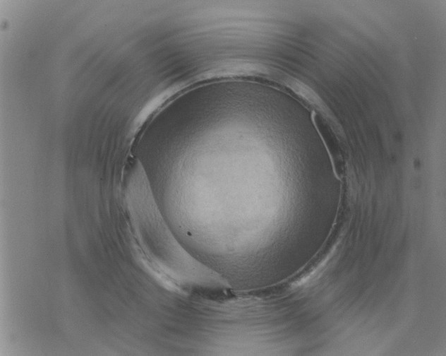 X0000075830842200610061820