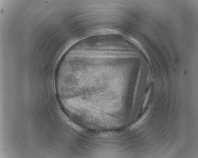 X0000075830843200610061820