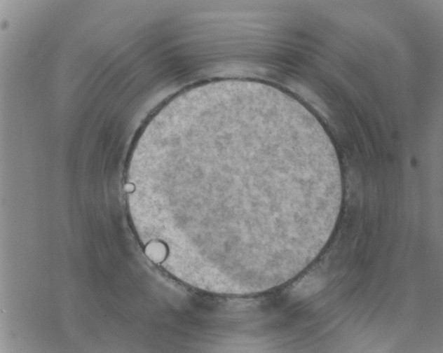 X0000075830848200610061820