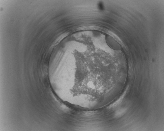 X0000075830849200610061820