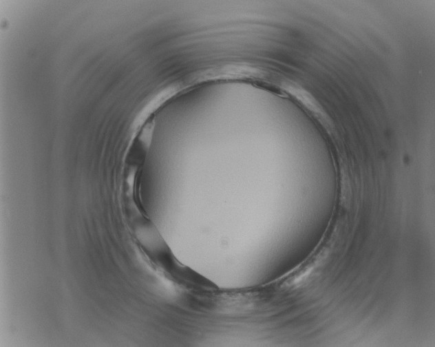 X0000075830850200610061820