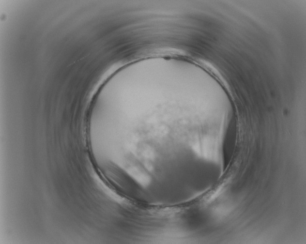 X0000075830851200610061820