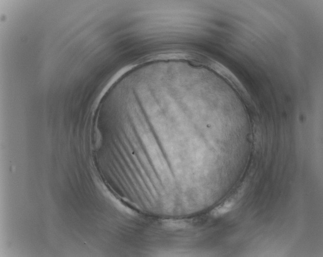 X0000075830852200610061820