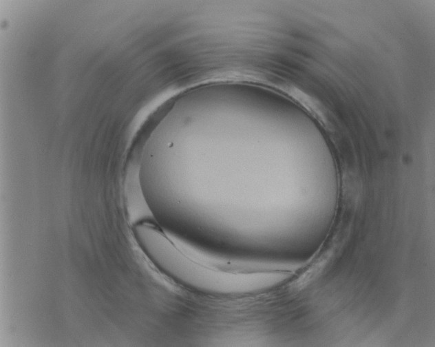 X0000075830854200610061820