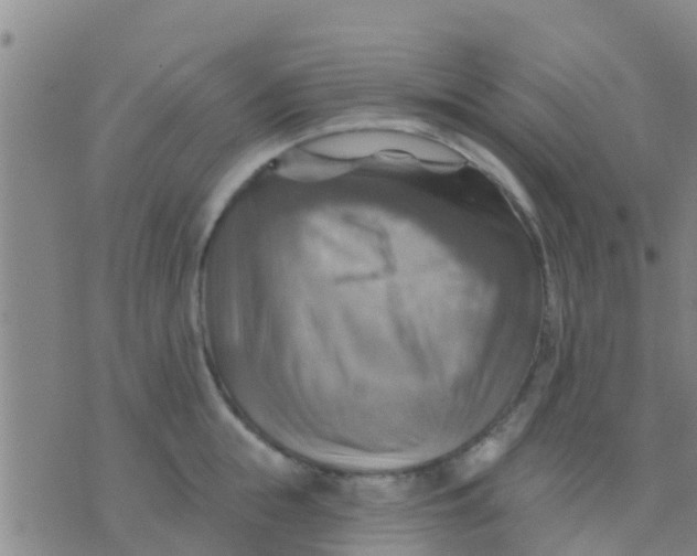 X0000075830855200610061820