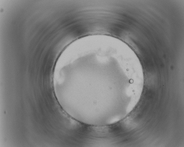 X0000075830856200610061820